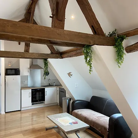 Apartment La Champenoise La Tannerie Troyes