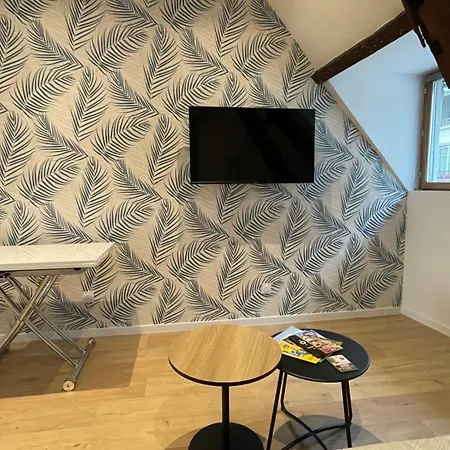Apartment La Champenoise La Tannerie Troyes