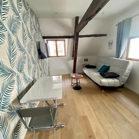 La Champenoise La Tannerie Apartment Troyes