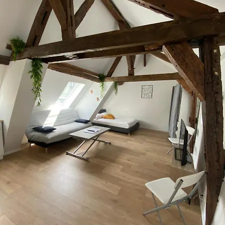 Apartament La Champenoise La Tannerie *