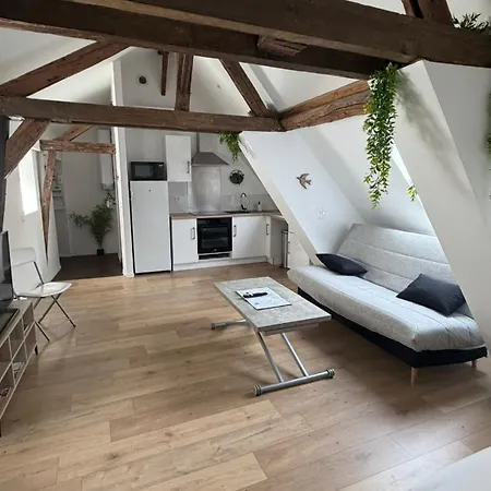 Appartamento La Champenoise Clim La Tannerie Troyes